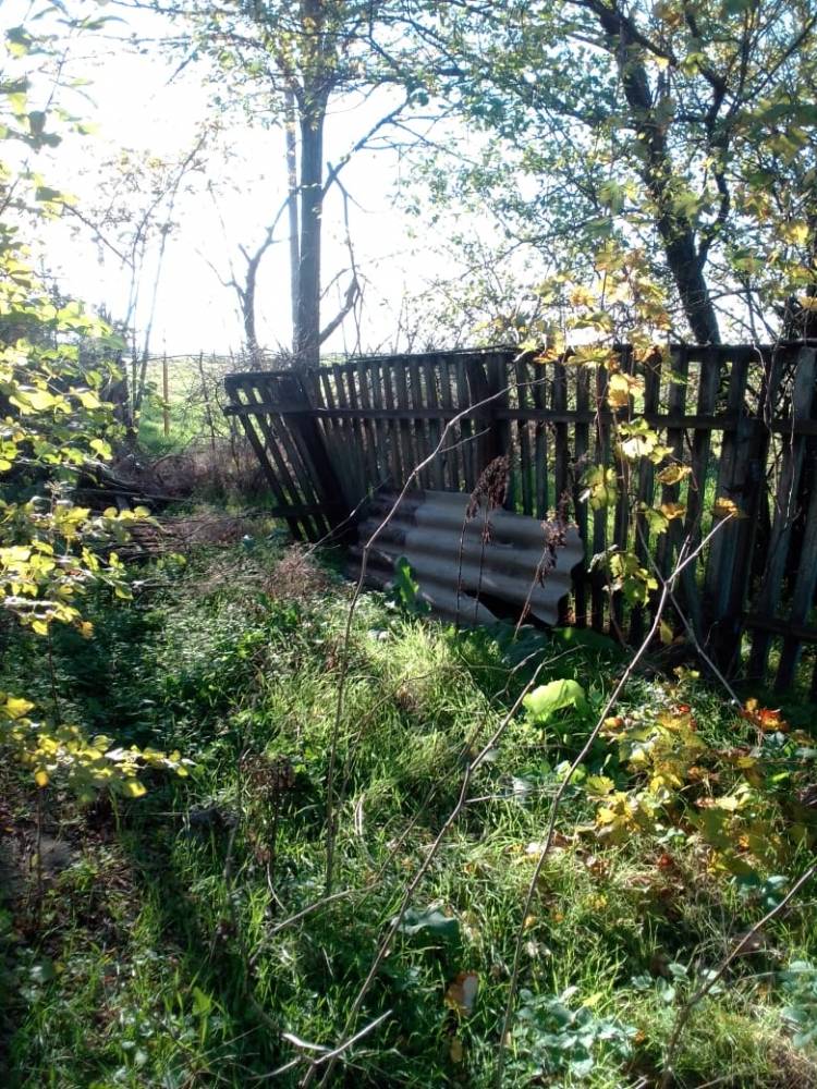 Фотография №6