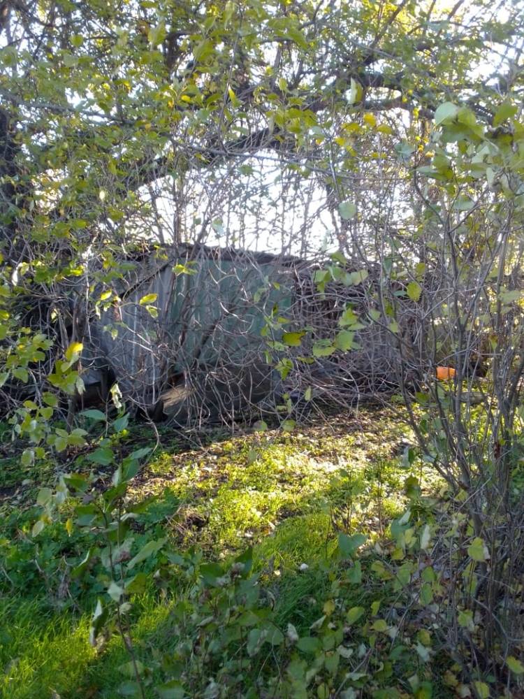 Фотография №7