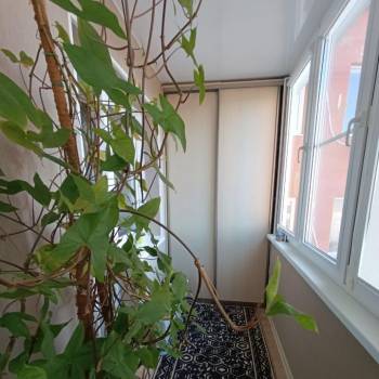 Продается 3-х комнатная квартира, 91 м²