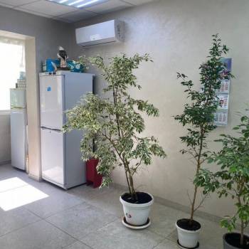 Продается Нежилое помещение, 74,6 м²