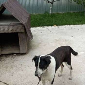 Продается Дом, 72 м²