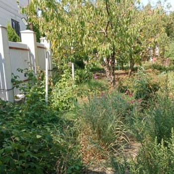 Продается Дом, 30 м²