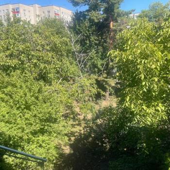 Сдается 1-комнатная квартира, 31 м²