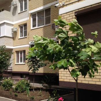 Продается 1-комнатная квартира, 43,1 м²