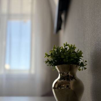 Сдается 1-комнатная квартира, 36,3 м²