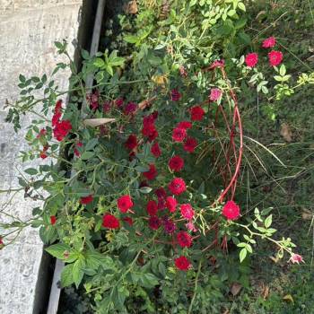 Продается Дом, 45 м²