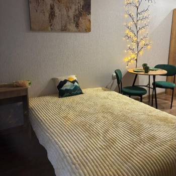 Сдается 1-комнатная квартира, 21,7 м²