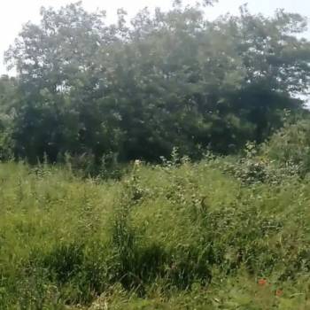 Продается Участок, 1000 м²