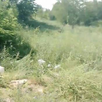 Продается Участок, 1000 м²