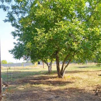 Продается Участок, 940 м²