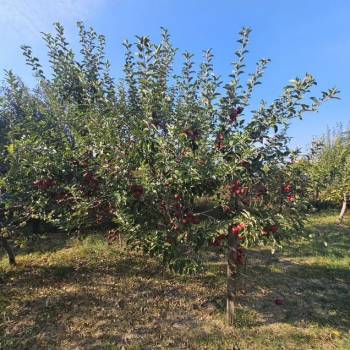 Продается Участок, 710 м²