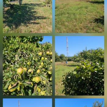 Продается Участок, 710 м²