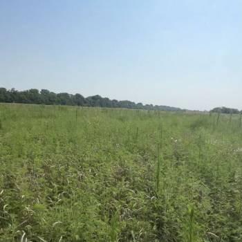 Продается Участок, 1000 м²