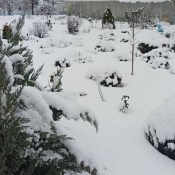 Продается Дом, 20 м²