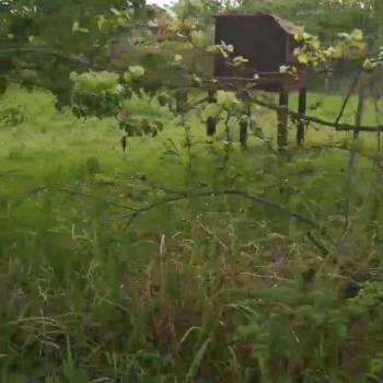 Продается Участок, 400 м²