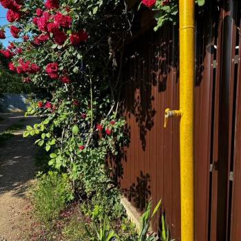 Продается Участок, 430 м²