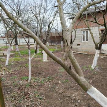 Продается Участок, 660 м²