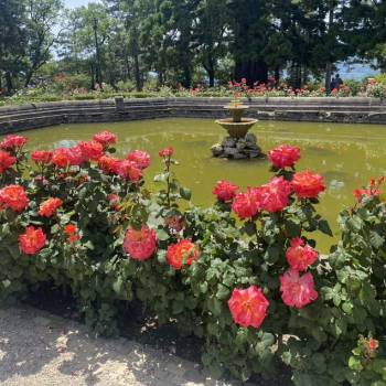 Продается 1-комнатная квартира, 29 м²