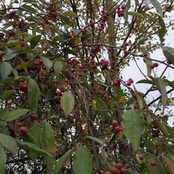 Продается Дом, 23 м²