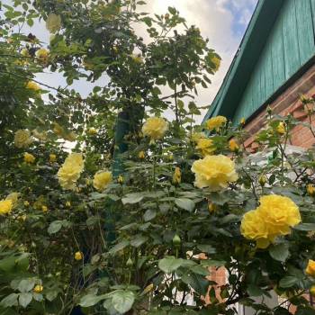 Продается Дом, 65 м²