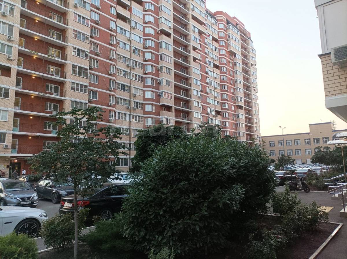 Фотография №7