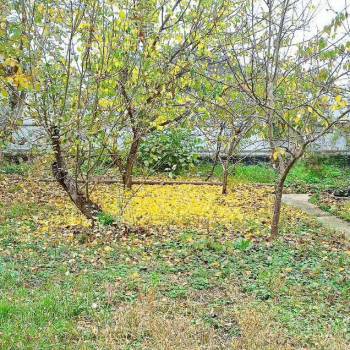 Продается Участок, 460 м²