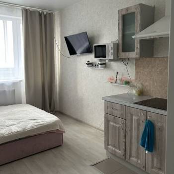 Сдается 1-комнатная квартира, 23,4 м²