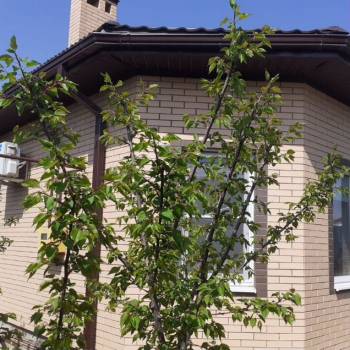 Продается Дом, 90 м²