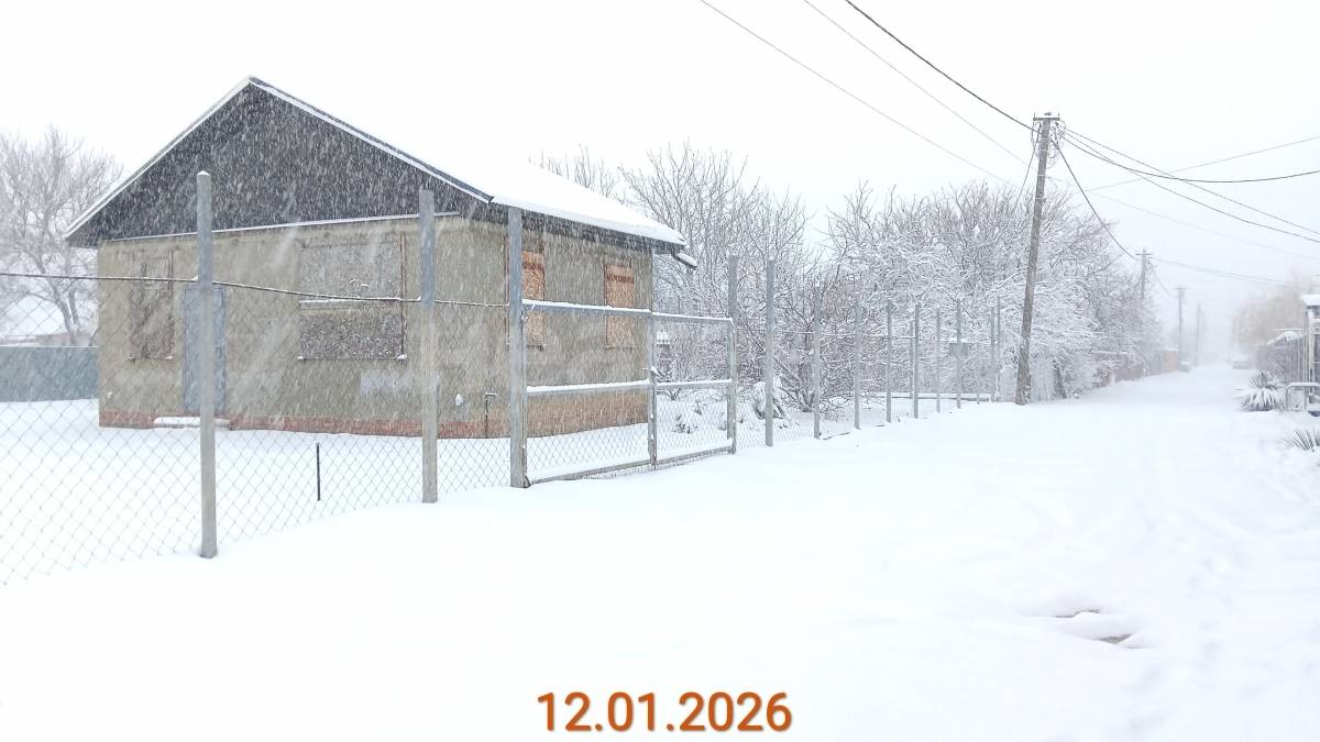 Фотография №12