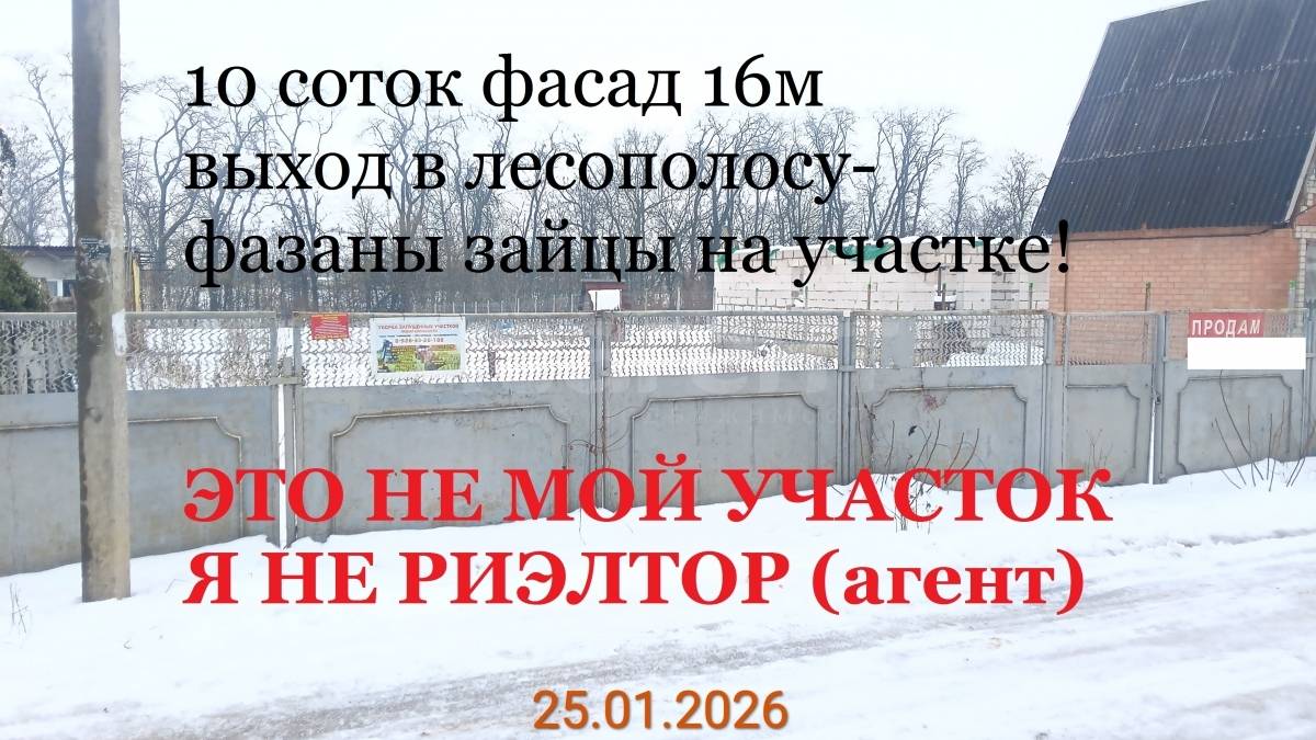 Фотография №3