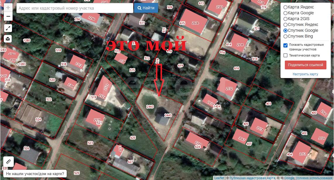 Фотография №10