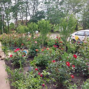 Продается 2-х комнатная квартира, 59,1 м²