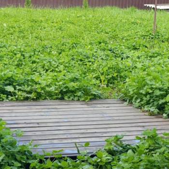 Продается Дом, 26 м²