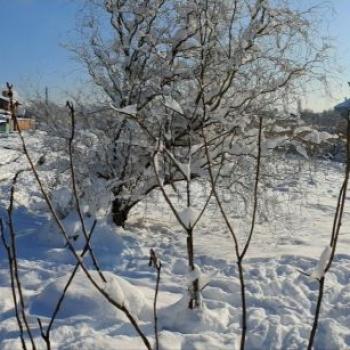 Продается Участок, 300 м²