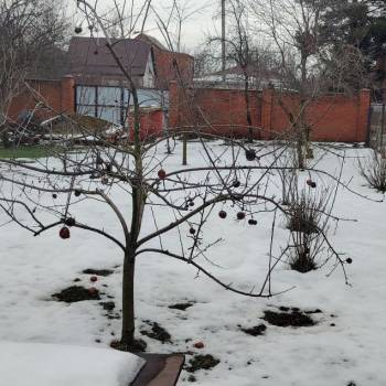 Продается Участок, 400 м²