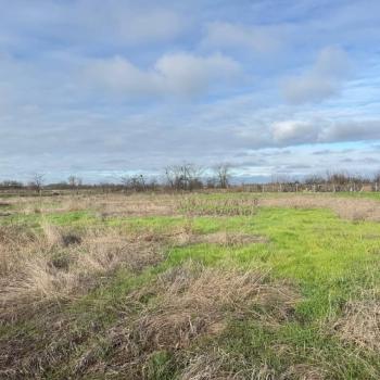 Продается Участок, 590 м²