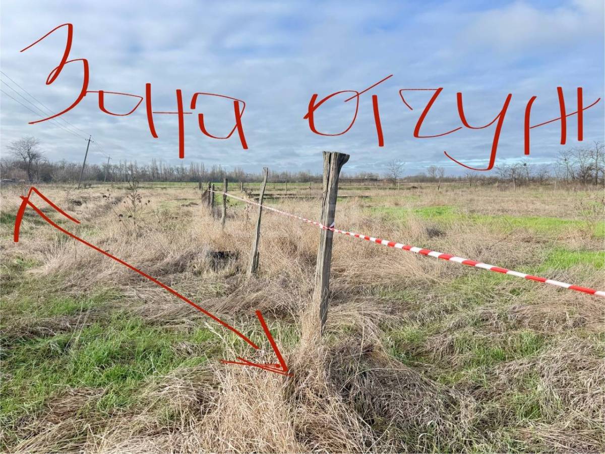 Фотография №3