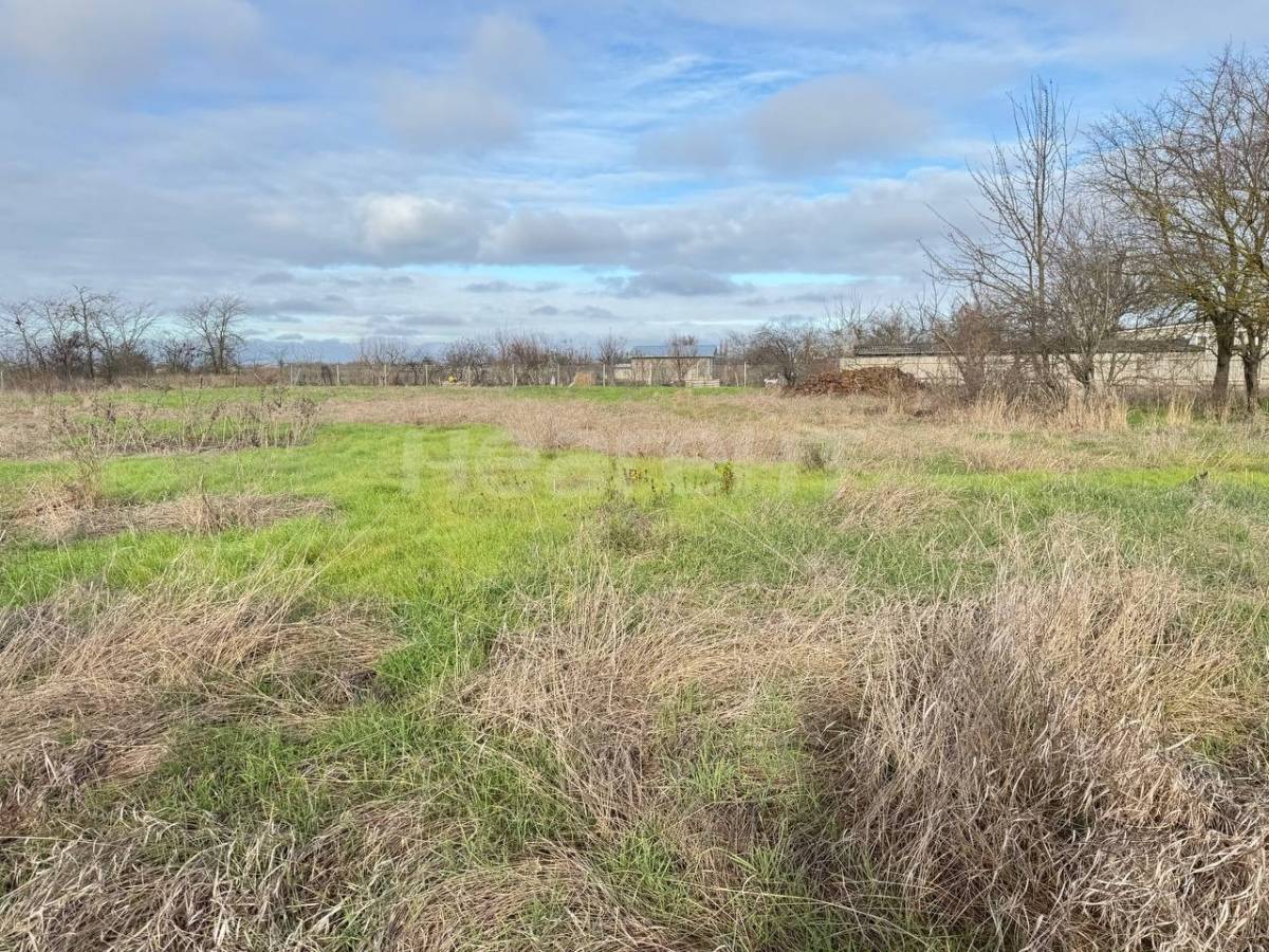 Фотография №4