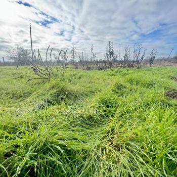 Продается Участок, 590 м²