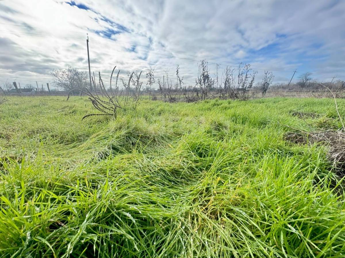 Фотография №5