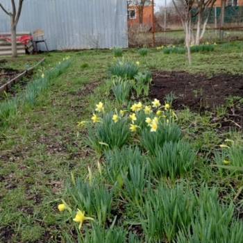 Продается Участок, 400 м²