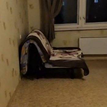 Сдается 1-комнатная квартира, 43,4 м²