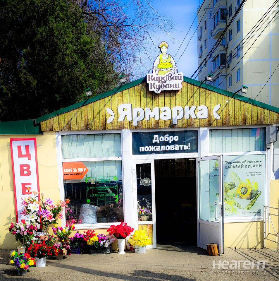 Фотография №2