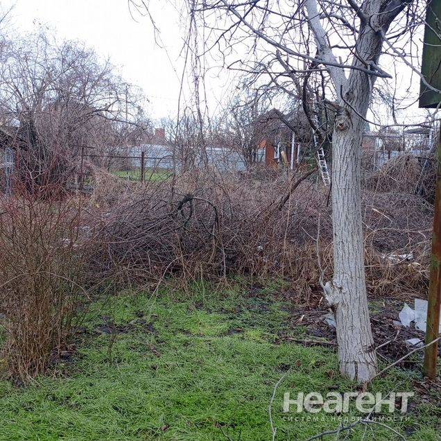 Фотография №2