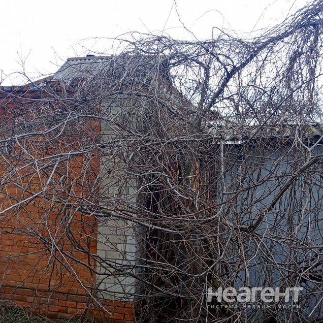 Фотография №3