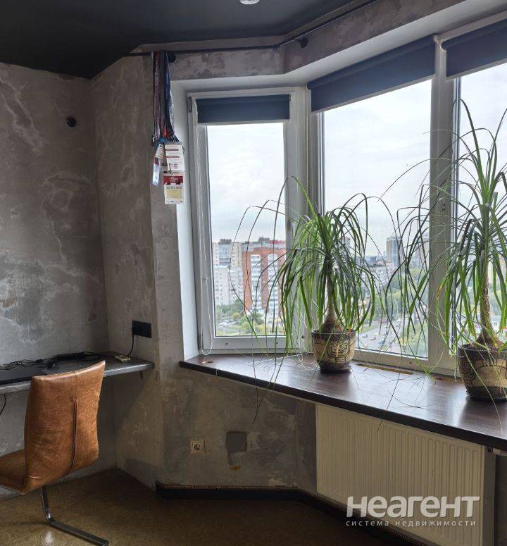 Фотография №2