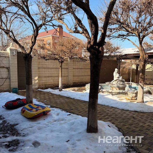 Фотография №2