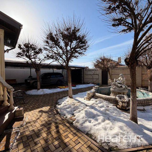 Фотография №3