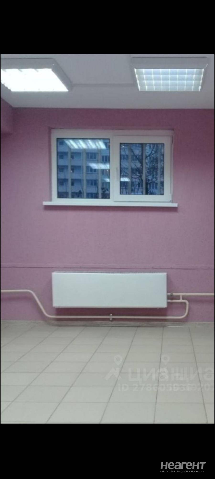 Фотография №2