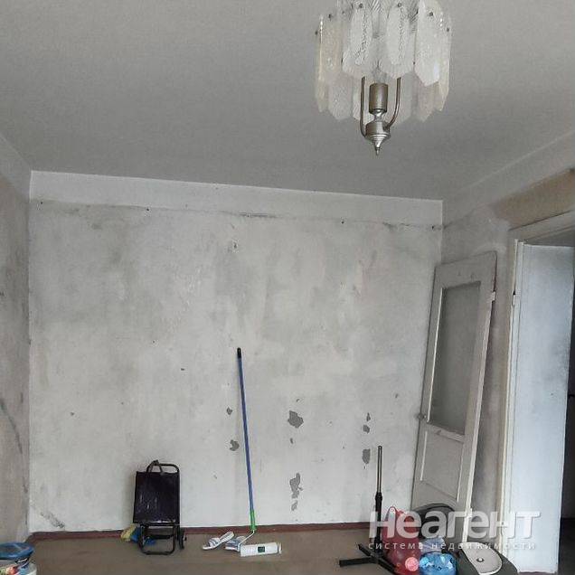 Фотография №3